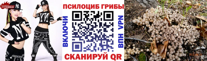 продажа наркотиков  Горбатов  Псилоцибиновые грибы Psilocybe 